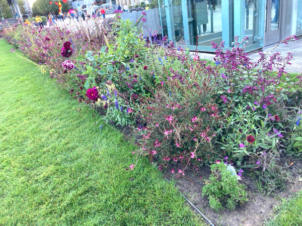 秋の深まりと秋の色