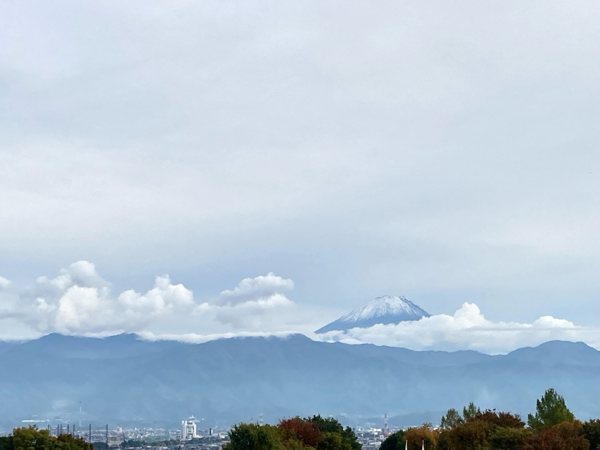 久しぶりの富士山