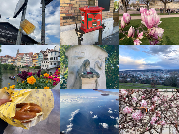 2025年のKnit up!的まとめ