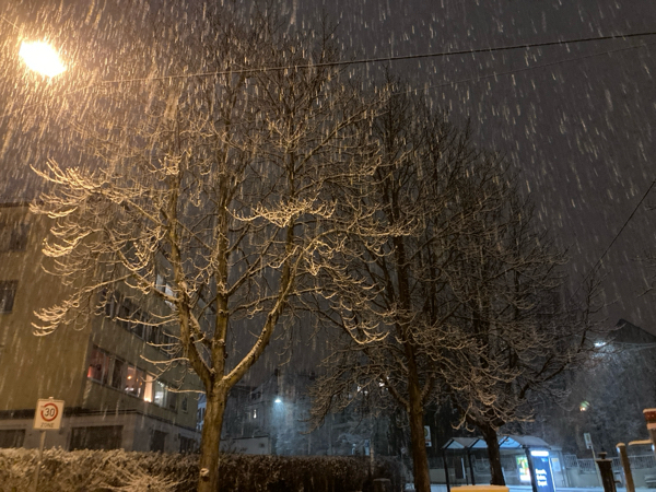 シュトゥットガルトに結構雪が降りまして