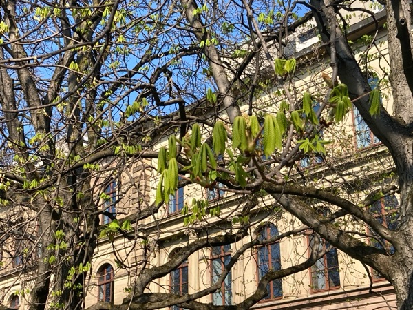 お天気が良いと、つい植物の写真を撮ってしまう