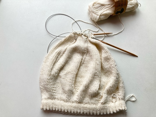 同色の余り糸が見つかったので続きを！